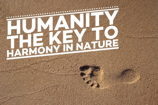 Humanity – the key to Harmony in Nature (2020)